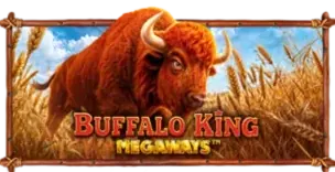 ภาพเกม Buffalo King Megaways ที่ wonder99 รวบรวมไว้